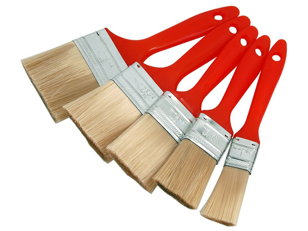 5 Piece Paint Brush Set