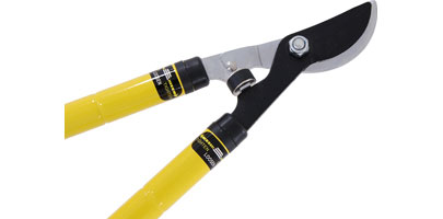Tree Loppers